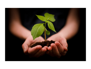 Personal-Development-Broxtowe-Youth-Homelessness