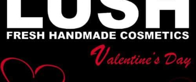 LUSH Workshop